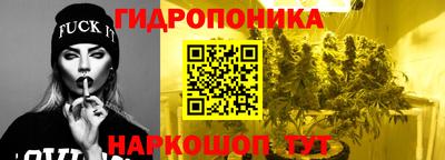 трава Бийск