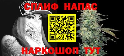 трава Бийск
