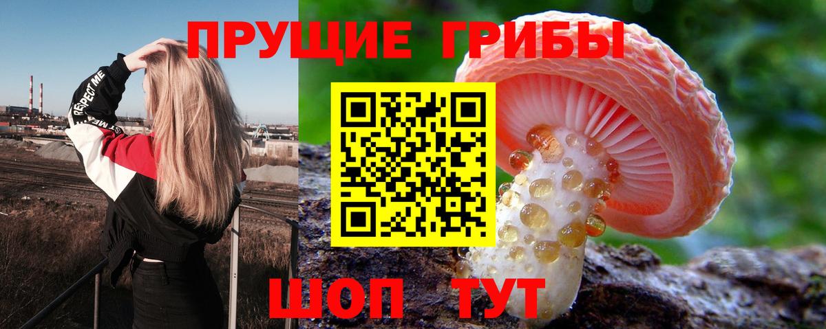 Кирово-Чепецк  Псилоцибиновые грибы Magic Shrooms  Вход с VPN 